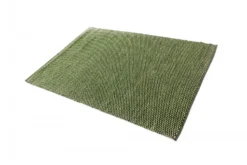 Voddenkleed - Tuva (groen) -Tapijt Winkel 14112017 img 2149 37140.jpg