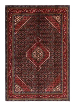 Perzisch Tapijt Hamedan 295 X 197 Cm