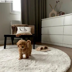 Ronde Vloerkleden - Cloud Super Soft (offwhite) 10 Ronde Vloerkleden - Cloud Super Soft (offwhite) -Tapijt Winkel cloud offwhite rund.jpg