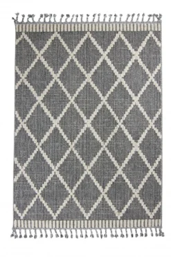 Shaggy - Indoor/Outdoor Alexandria (donker Grijs)