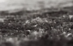 Hoogpolig Vloerkleed - Shaggy Luxe (antraciet) -Tapijt Winkel softdeluxe antracit 23038.jpg