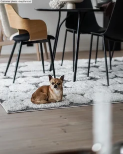 Hoogpolig Vloerkleed - Fondi (grijs) 19 Hoogpolig Vloerkleed - Fondi (grijs) -Tapijt Winkel xxxegilfarstadfondigra2.jpg